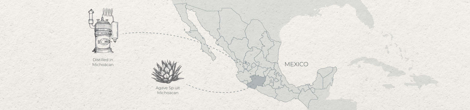 NL Agave Sp from Michoacan Distilled in Michoacan